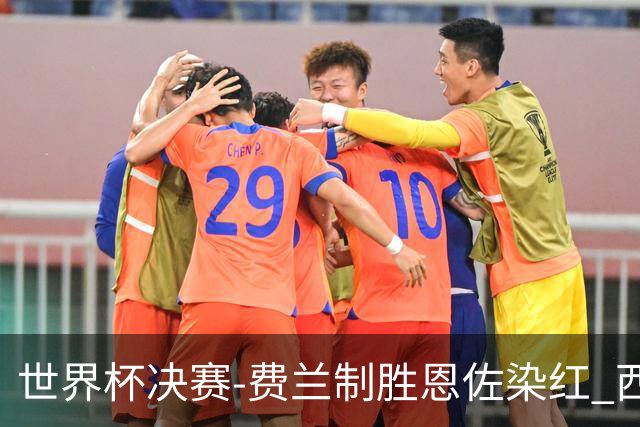 世界杯决赛-费兰制胜恩佐染红 西班牙加时1-0阿根廷夺冠