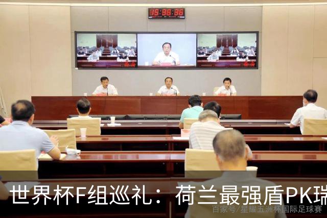 世界杯F组巡礼：荷兰最强盾PK瑞典犀利刀 日本短板明显