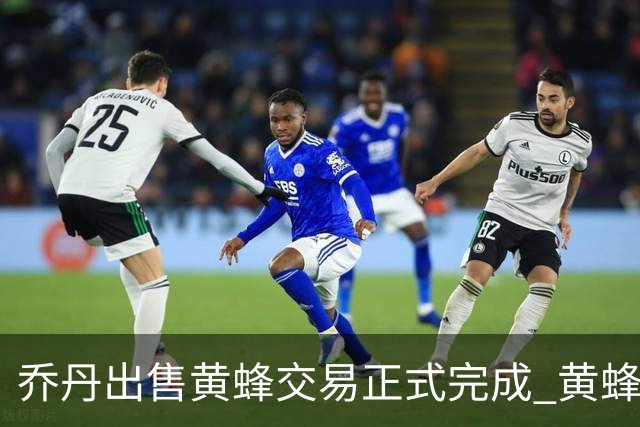 乔丹出售黄蜂交易正式完成 黄蜂大老板易主