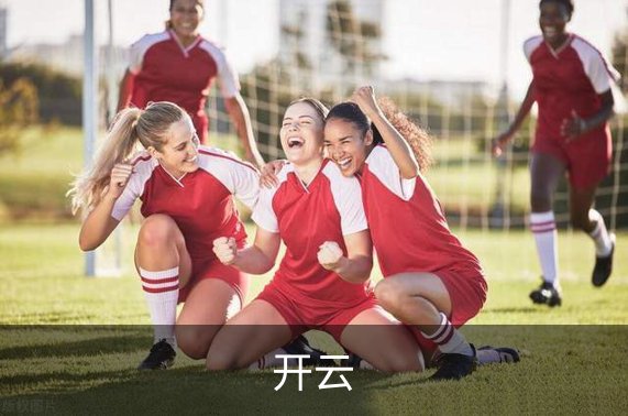 开云简介