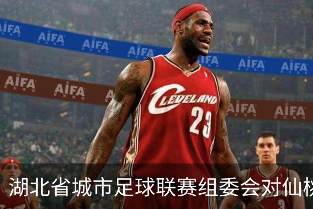 湖北省城市足球联赛组委会对仙桃队、黄石队作出处罚