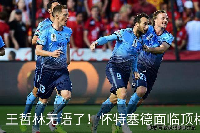 王哲林无语了！怀特塞德面临顶格处罚，球迷要求收回上海总冠军