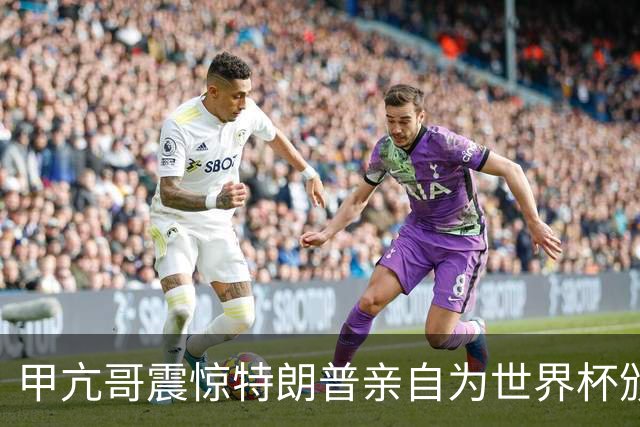 甲亢哥震惊特朗普亲自为世界杯颁奖：瞧，总统在这