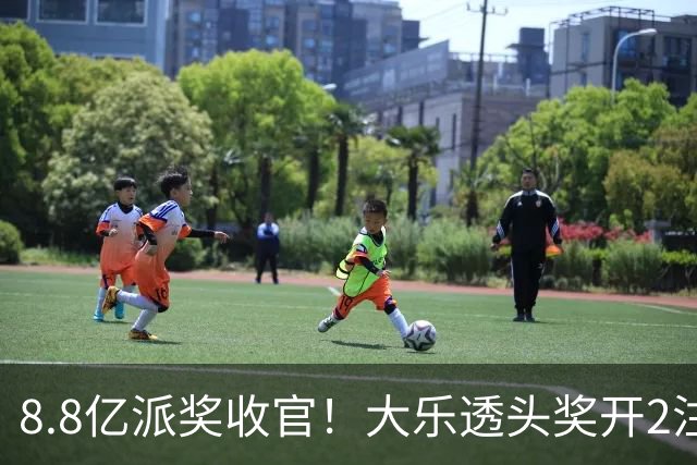 8.8亿派奖收官！大乐透头奖开2注1000万无追加